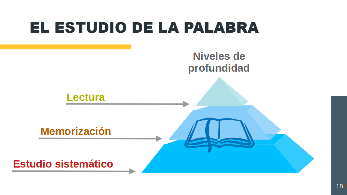 niveles-estudio-palabra.png